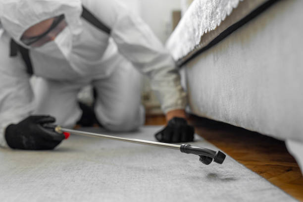 Professional Pest Control technician working in Hermann, MO