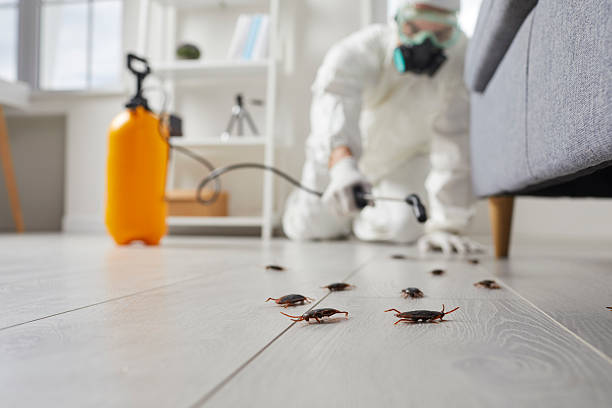 Trusted Rodent Control service in Hermann, MO - Nex Pest Control