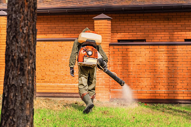 Trusted Emergency Pest Control service in Hermann, MO - Nex Pest Control